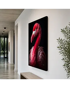 FLAMENCO ROSADO