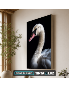 CISNE BLANCO