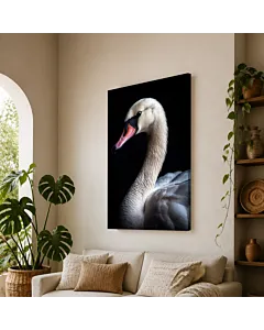 CISNE BLANCO