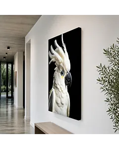 COCKATOO CRESTA