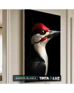 GAVIOTA BLANCA