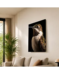 AVES AL ATARDECER