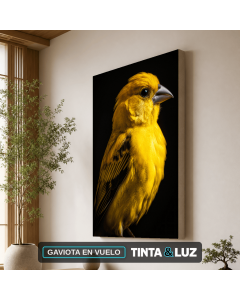 GAVIOTA EN VUELO