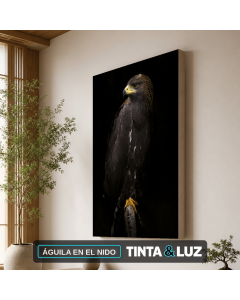 ÁGUILA EN EL NIDO