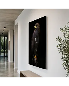 ÁGUILA EN EL NIDO