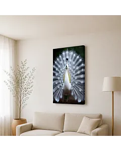 HALCÓN OSCURO