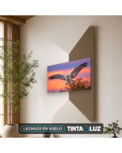 LECHUZA EN VUELO