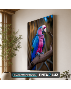 GUACAMAYO ROSA