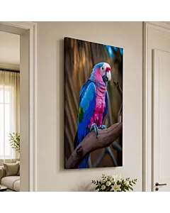 GUACAMAYO ROSA