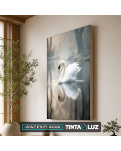 CISNE EN EL AGUA