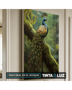 PAVO REAL EN EL BOSQUE