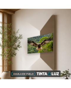 ÁGUILA EN VUELO