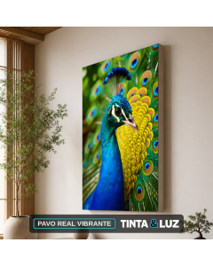 PAVO REAL VIBRANTE