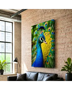 PAVO REAL VIBRANTE