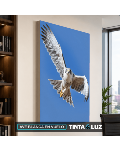 AVE BLANCA EN VUELO
