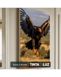 ÁGUILA NEGRA