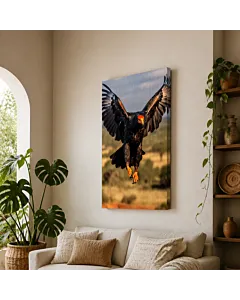 ÁGUILA NEGRA
