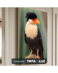 CARACARÁ