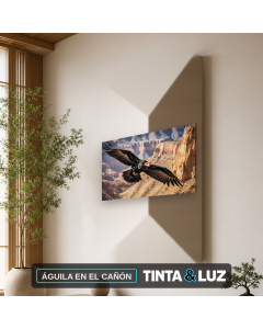 ÁGUILA EN EL CAÑÓN