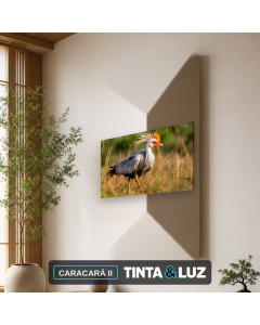 CARACARÁ II