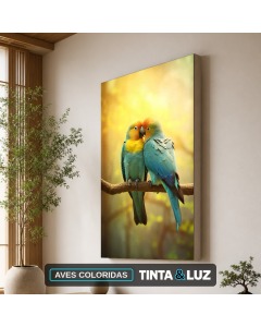 AVES COLORIDAS