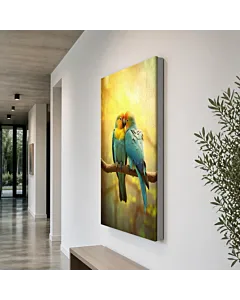 AVES COLORIDAS