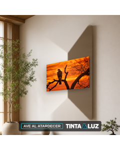 AVE AL ATARDECER