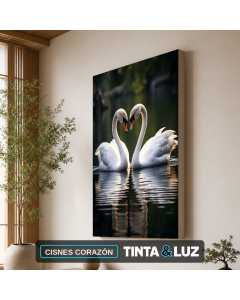 CISNES CORAZÓN