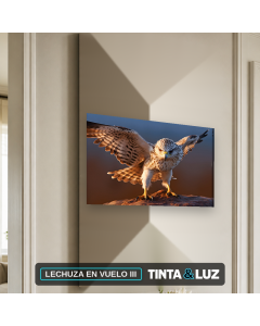 LECHUZA EN VUELO III