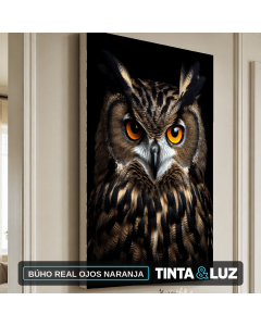 BÚHO REAL OJOS NARANJA