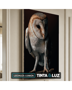 LECHUZA COMÚN