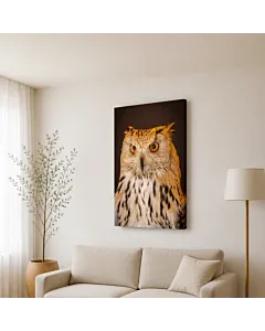 BÚHO NARANJA