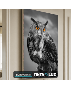BÚHO GRIS II