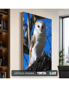 LECHUZA POSADA