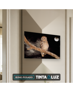 BÚHO POSADO