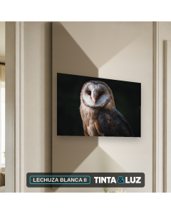 LECHUZA BLANCA II