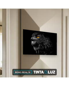 BÚHO REAL IV