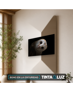 BÚHO EN LA OSCURIDAD