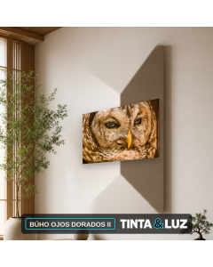 BÚHO OJOS DORADOS II