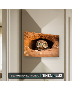 LECHUZA EN EL TRONCO