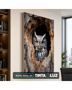 BÚHO REAL VI