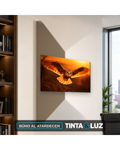BÚHO AL ATARDECER