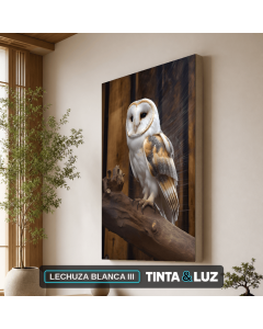 LECHUZA BLANCA III