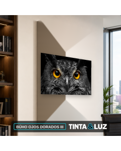 BÚHO OJOS DORADOS III