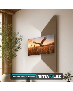 BÚHO EN LA RAMA