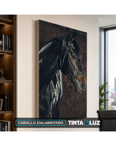CABALLO ENCABRITADO