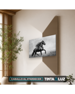 CABALLO AL ATARDECER