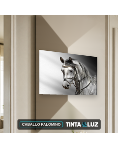 CABALLO PALOMINO