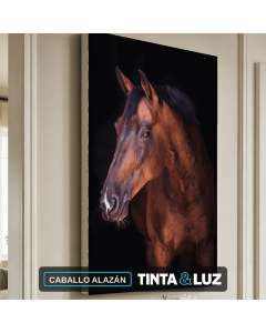 CABALLO ALAZÁN
