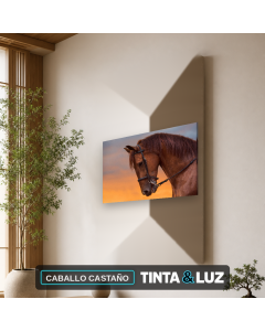 CABALLO CASTAÑO